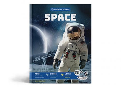 Smart Fox: Space