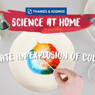 Create an Explosion of Color (VIDEO) Create an Explosion of Color (VIDEO)